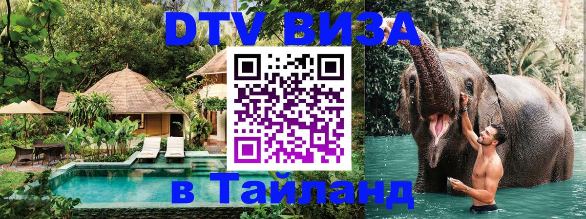 Сколько стоит DTV виза — актуальные цены, оформление даже без документов - 18.11.2025 